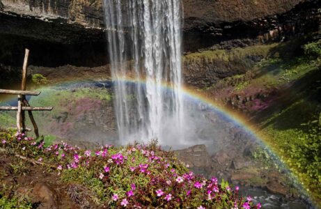 cascade-fleurie
