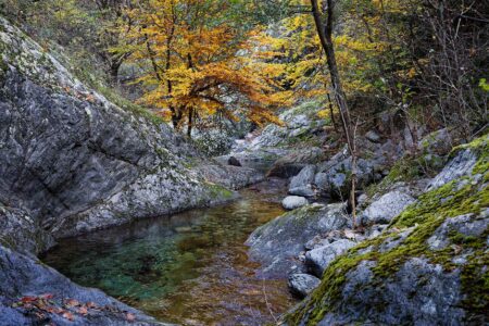 les gorges de Taurinya en saison automnale