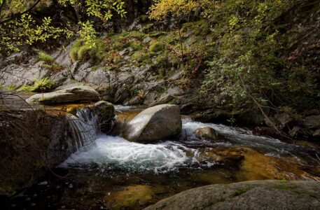 un caillou au milieu d'un ruisseau de montagne