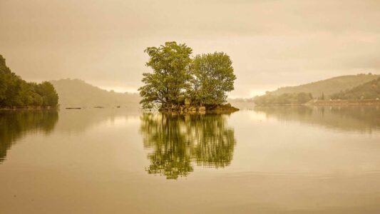au milieu du lac de Vinça, photo d'un ilot arboré un matin brumeux