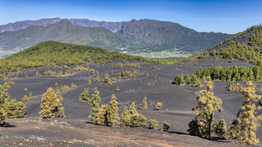 paysage-canarien