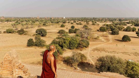 un moine bouddhiste dans la plaine de Bagan